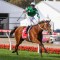 No rush on Via Sistina’s Melbourne Cup decision