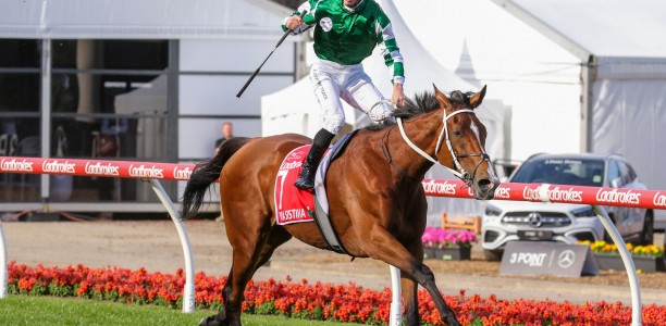 No rush on Via Sistina’s Melbourne Cup decision