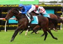 Cummings side-steps Victoria Derby with star colt