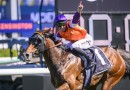 Exciting Sydney stayer El Castello heads odds in the Victoria Derby