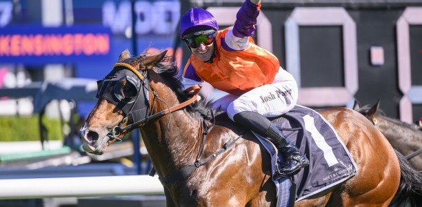 Exciting Sydney stayer El Castello heads odds in the Victoria Derby