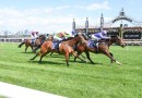 Flemington in peak shape for Melbourne Cup week