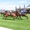 Flemington in peak shape for Melbourne Cup week