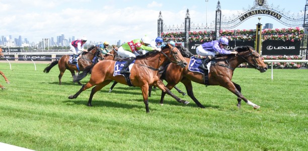 Flemington in peak shape for Melbourne Cup week