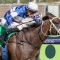 Star mare Atishu heads odds in wide open Empire Rose Stakes field