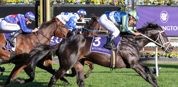 Star ruled out of 2024 Melbourne Cup contention