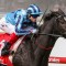 Another leading Melbourne Cup chance under injury cloud