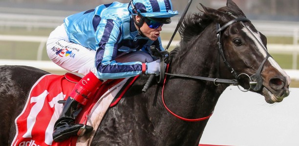 Another leading Melbourne Cup chance under injury cloud