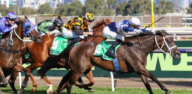 Atishu shining ahead of Empire Rose Stakes