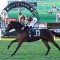 No walk in the Park, but Fawkner claims Rosehill Gold Cup