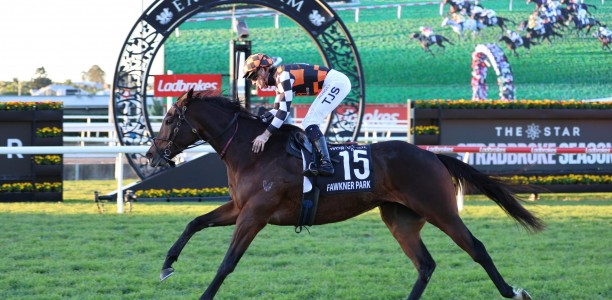 No walk in the Park, but Fawkner claims Rosehill Gold Cup