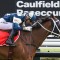 Wide barrier no drawback for Melbourne Cup favourite