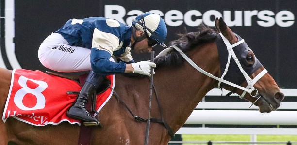 Wide barrier no drawback for Melbourne Cup favourite