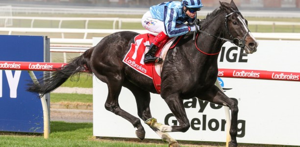 Melbourne Cup luck finally on Ellison’s side