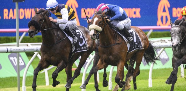 Athabascan scratched from 2024 Melbourne Cup field