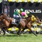 Knight’s Choice stuns in historic Melbourne Cup win