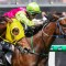 Knight’s Choice springs a Melbourne Cup surprise