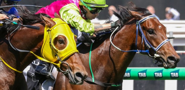 Knight’s Choice springs a Melbourne Cup surprise