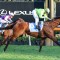 Berkeley Square out for Queen Elizabeth Stakes success