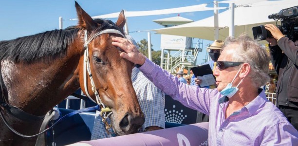 Miller hopes for a Magnificent Lee Steere Stakes