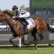 Belclare too Hot for Rosehill rivals