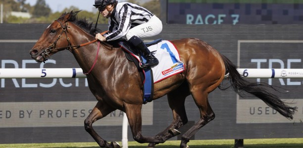 Belclare too Hot for Rosehill rivals