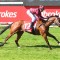 Sir Rupert Clarke Stakes to suit Climbing Star