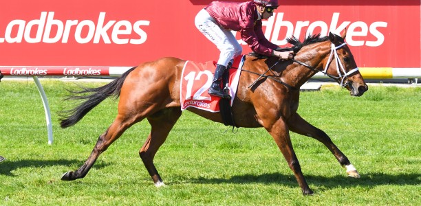 Sir Rupert Clarke Stakes to suit Climbing Star