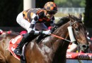 Baraqiel to race for the MVRC in The Meteorite