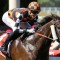 Baraqiel to race for the MVRC in The Meteorite