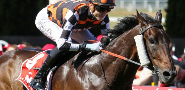 Baraqiel to race for the MVRC in The Meteorite