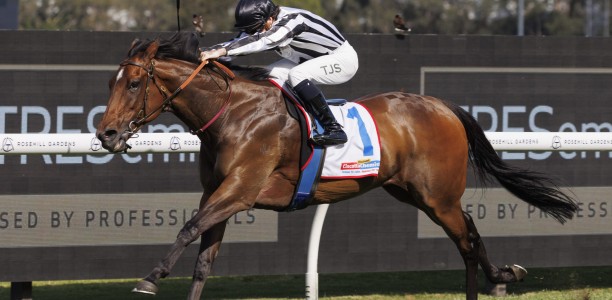 Eastern states stars set for The Pinnacles at Ascot