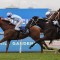 Pride hunts second Newcastle feature