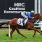 Another Wil heads odds in competitive Sir Rupert Clarke Stakes field