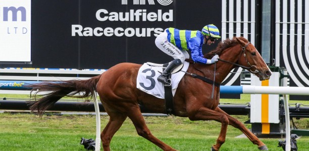 Another Wil heads odds in competitive Sir Rupert Clarke Stakes field