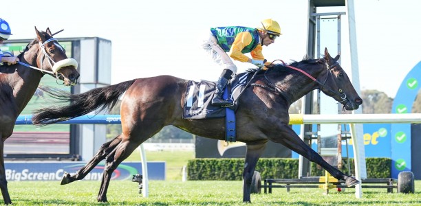 Thousand Guineas 2024 – Field Preview, Odds, Horses, Speed Map and Betting Tips