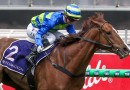 Exciting sprinters fight for favouritism in the G1 Sir Rupert Clarke Stakes