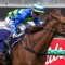 Exciting sprinters fight for favouritism in the G1 Sir Rupert Clarke Stakes