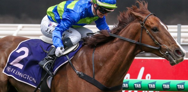 Exciting sprinters fight for favouritism in the G1 Sir Rupert Clarke Stakes