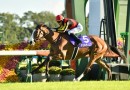 Cervinia heads odds in wide open Japan Cup field