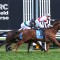 Cranbourne Cup draw a concern for Jusufovic