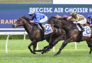 Punters quick to crunch speedsters odds in The Warra at Kembla Grange