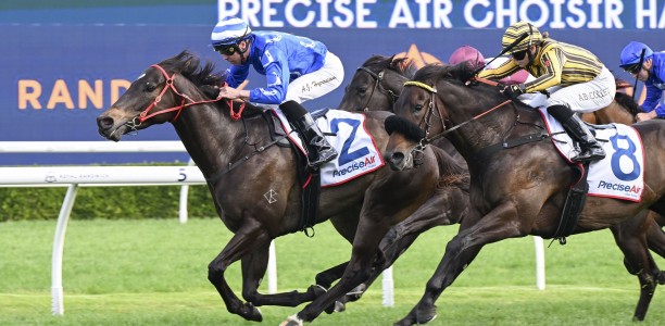 Punters quick to crunch speedsters odds in The Warra at Kembla Grange