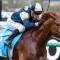 Exciting French import heads odds in wide open Railway Stakes field