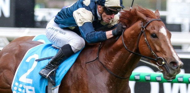 Exciting French import heads odds in wide open Railway Stakes field