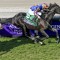 Auguste Rodin’s final bow in Japan Cup before historic retirement