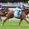 Punters plunge on boom French import to win Railway Stakes