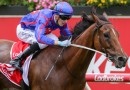 Globe shines in the Cranbourne Cup