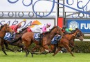 A wrap of Racing SA’s Finals Day