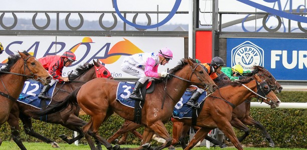 A wrap of Racing SA’s Finals Day